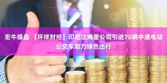 宏牛操盘 【环球财经】印尼达姆里公司引进70辆中通电动公交车助力绿色出行