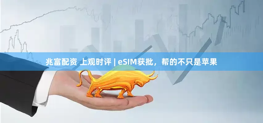 兆富配资 上观时评 | eSIM获批，帮的不只是苹果