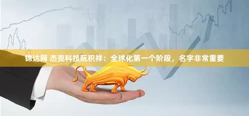 锦达网 杰克科技阮积祥：全球化第一个阶段，名字非常重要